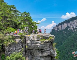 庐山旅游团,探索匡庐奇秀，体验千年文化之旅