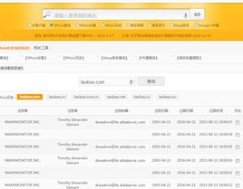 域名信息查询,揭秘网站注册人、DNS解析与网络安全