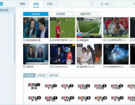 cctv5网络电视直播,全天候体育赛事精彩呈现